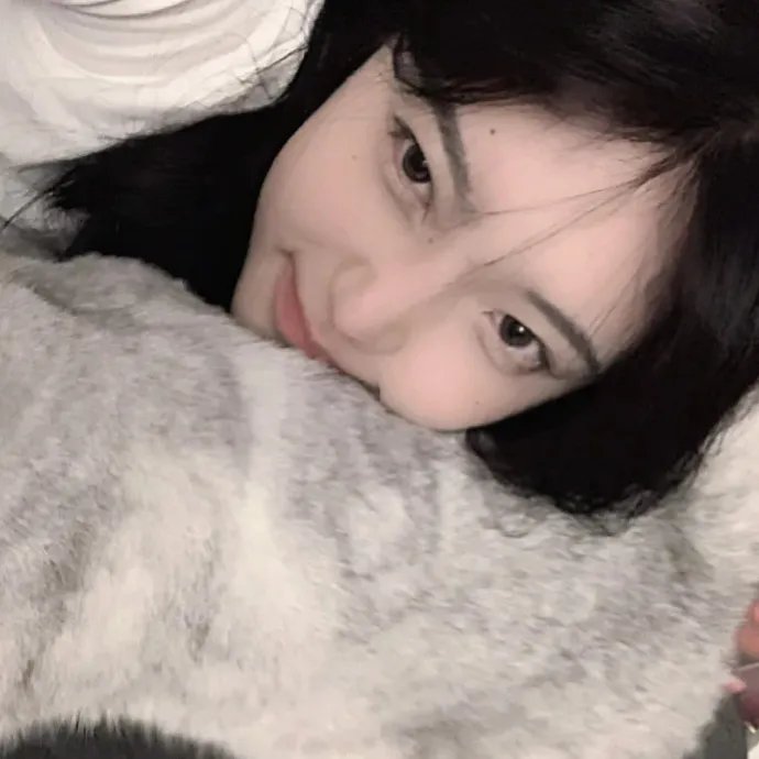 101朵玫瑰